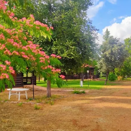 Tabla Honda Agroturismo
